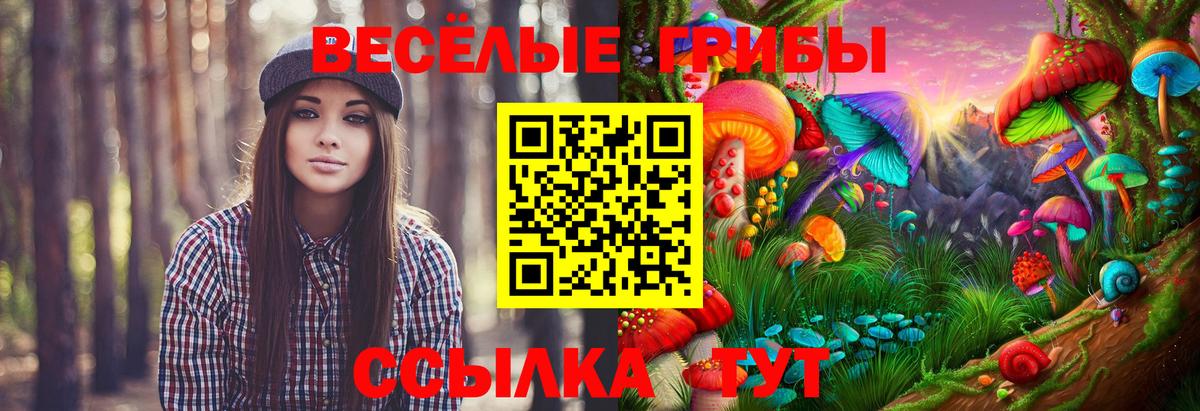 Псилоцибиновые грибы ЛСД Семилуки