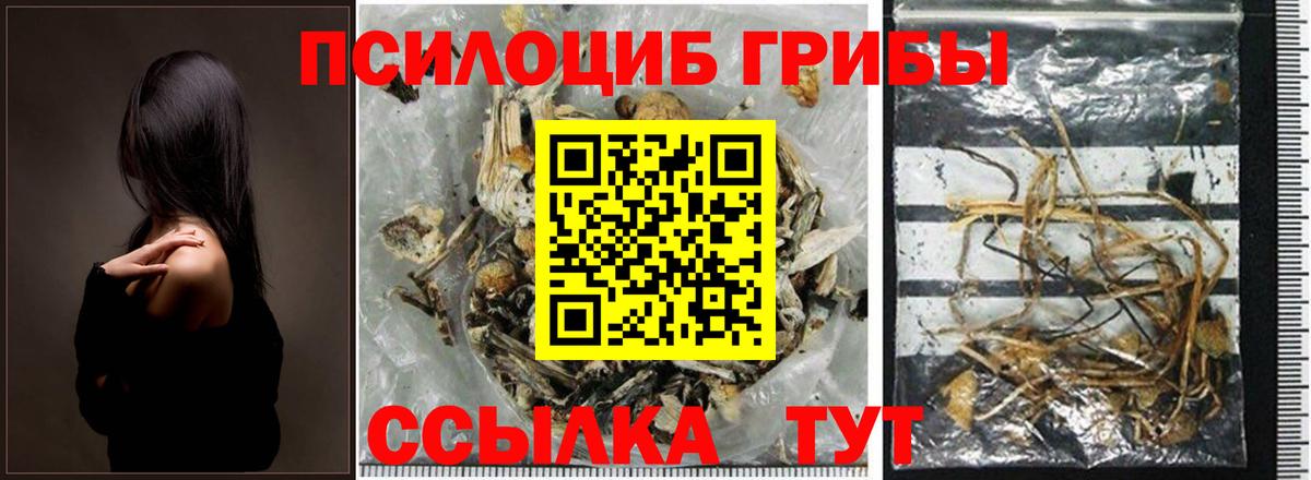 Семилуки  Псилоцибиновые грибы Psilocybine cubensis  Псилоцибиновые грибы MAGIC MUSHROOMS  Вход с VPN 